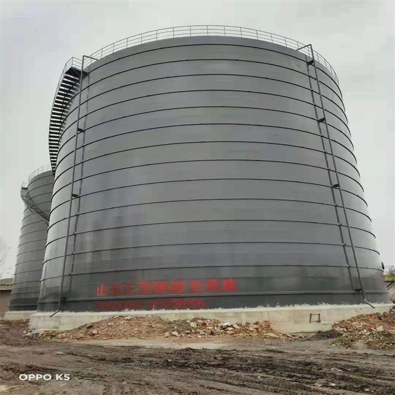 巴东3万吨大型钢板库